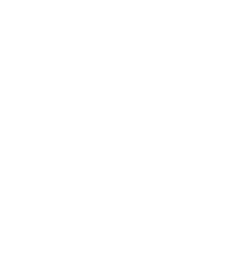 Blind Tiger Puerto Vallarta